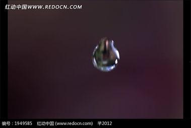 水滴视频,记录生活点滴，见证时代变迁